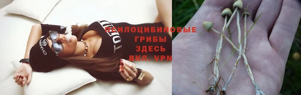 молекула духа Алексеевка