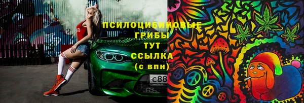 a pvp Алзамай