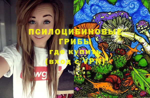 дмт Алексин