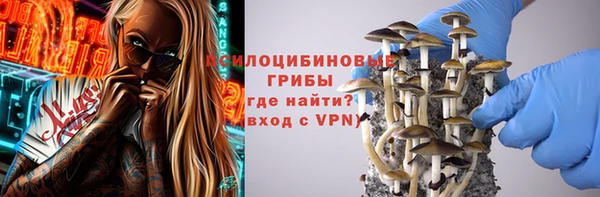 дмт Алексин